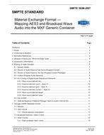 SMPTE 382M SMPTE 382M